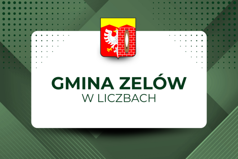 Miniatura: Podsumowanie 2025 roku w Gminie Zelów: Demografia, statystyki i najpopularniejsze imiona